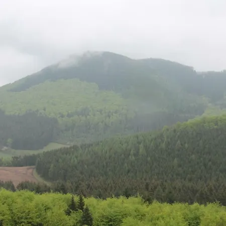 Ferienhaus Sachsengluck *